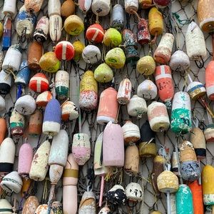 Meet your Posher, Katrina